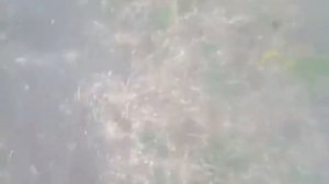 НАШЁЛ ТРУП ЧЕЛОВЕКА В ЛЕСУ😱.ШОК!!!