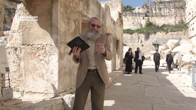 PT221 Rus 19 От первой до второй Пасхи Первое пасхальное путешествие Очищение храма смотреть онлайн