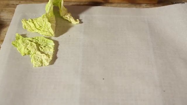 Сушка для овощей и фруктов Дегидратор Klarstein Fruit Jerky Pro 10 смотреть онлайн