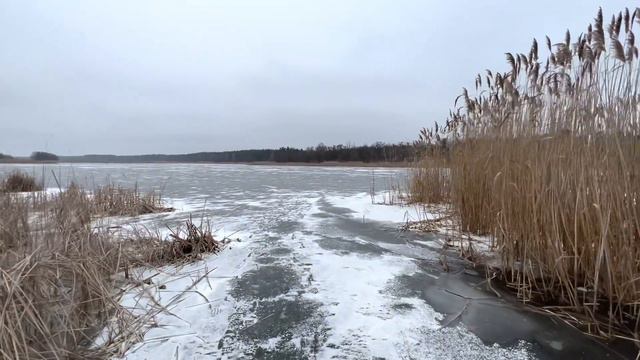ДИВИТИСЬ ДО КІНЦЯ😊ДРУГИЙ ЛІД ШАЛЕНИЙ ЖОР ЩУК НА ЖЕРЛИЦІ, І МОЇ ПРИГОДИ НА ДИКИХ ОЗЕРАХ,СІЧЕНЬ 2023… смотреть онлайн