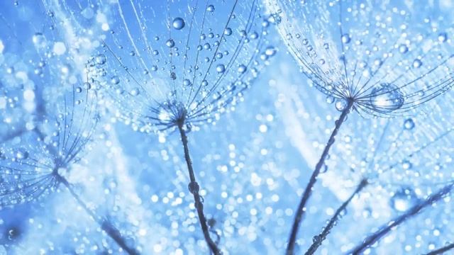 Успокаивающая музыка для сна, снятия стресса и медитации смотреть онлайн