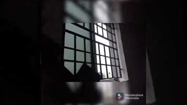 Lenovo D27-30 27 inch Moniter Unboxing ❤?| Odhuvathu_Ozhiyael смотреть онлайн