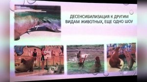 Разные шоу программы в одной группе животных как поощрение