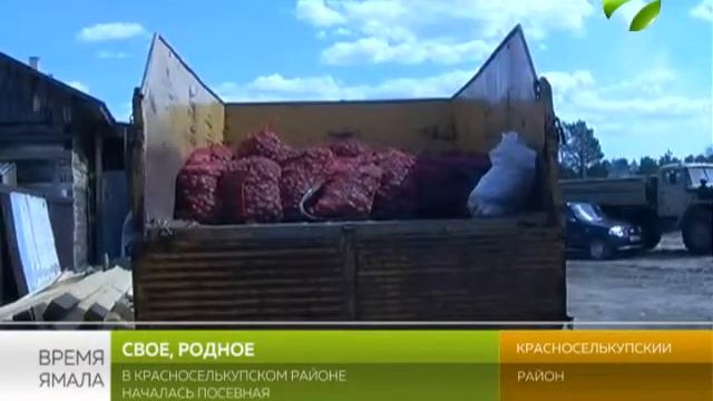 Свое, родное. В Красноселькупском районе началась посевная
