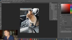 Как настроить автоматическую обработку фото в Photoshop | дублирование эффектов на фото | экшен