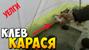 Шикарная ловля Карася зимой! Зимняя рыбалка в палатке на озере Уелги | Заселяю карася в пруд.