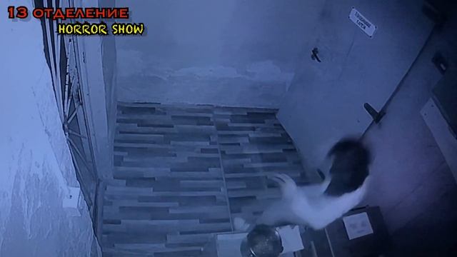 ЭТИ ЭМОЦИИ НЕ ЗАБУДЕШЬ! ПРОХОЖДЕНИЕ ИГРЫ ОТДЕЛЕНИЕ 13! #emotions #reaction #quest #игра #страх #рек смотреть онлайн