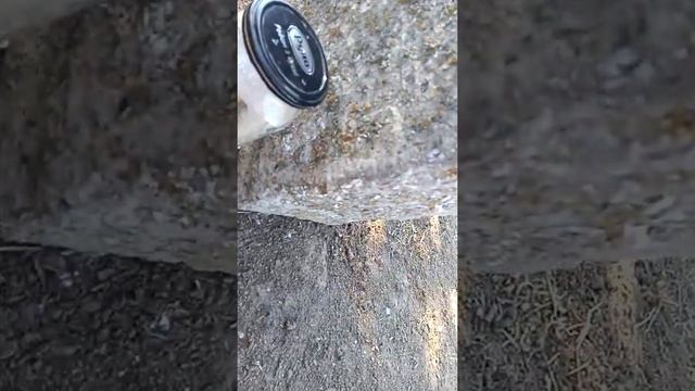 Самий огромный тарантул в Украине смотреть онлайн