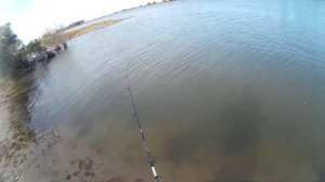 ловля крупного окуня на вертушку в дельте волги