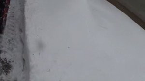 Будни пенсионера,чистка снега ротором.