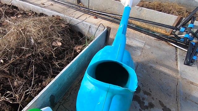 теплица весной/чем мою/как обрабатываю почву смотреть онлайн