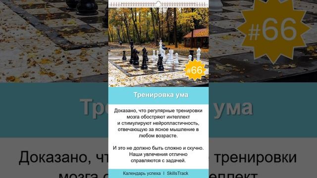 Календарь успеха #66. Тренировка ума