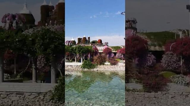 Парк цветов Dubai Miracle Garden 2021