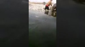 Закедной невод на озере Байкал Бурятия