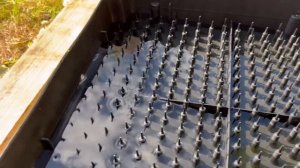 Гидропоника тюльпанов.Лоток или ящик?