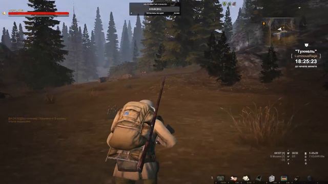 Стримчик Stalker online (Stay Out) Прогулки по Зоне #3 смотреть онлайн