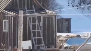 вы че сюда пришли