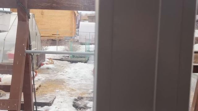 450/Переезд в Россию. Стройка отменяется, планы поменялись ! Ищем туалет. Ялуторовск. Сибирь ! смотреть онлайн