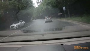 Лагуна 2 и Гольф ГТИ