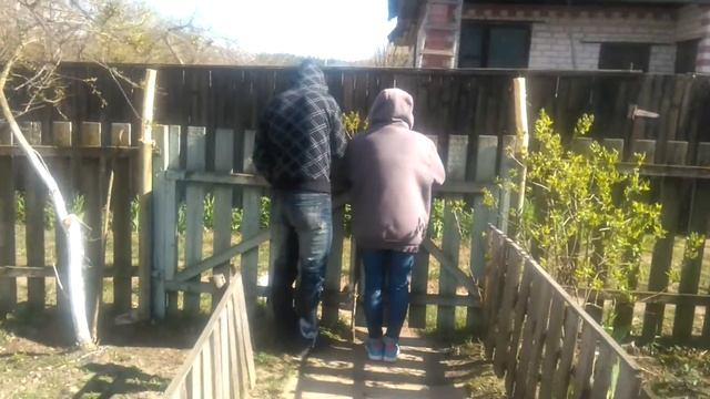 Дача стуле 3 смотреть онлайн