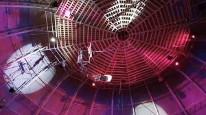 цырк дикая планета 25 ноября 2023