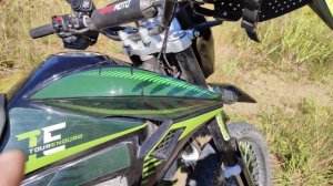 REGULMOTO TE 300 (6 скоростей 2023г)