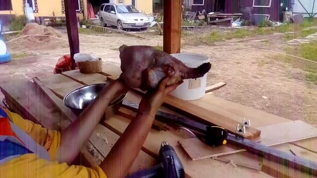 РОСС-308 40 дней!!! смотреть онлайн