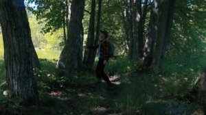 Путешествие на болота. Отличный поход выходного дня по ленинградской области!