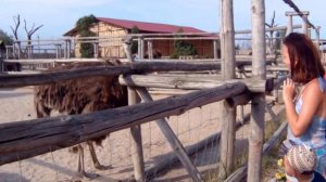 Бердянск   Зоопарк "Сафари"    Даша и Арсений посещают зоопарк    Zoo in Berdyansk