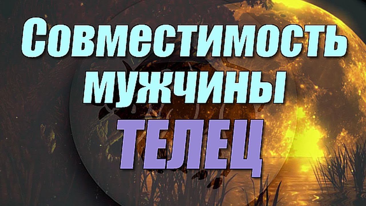 Совместимость мужчины Телец