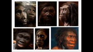 КТО МЫ? Эволюция. Расы Людей.