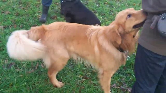 MOV 0559 смотреть онлайн