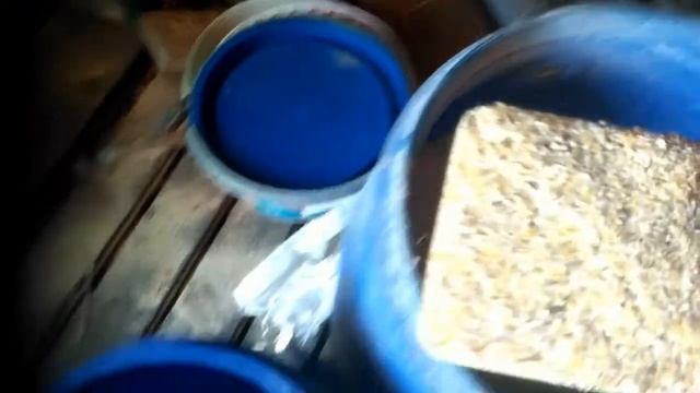 Откорм птицы.Нюансы кормления птицы предназначенной на мясо.