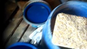 Откорм птицы.Нюансы кормления птицы предназначенной на мясо.