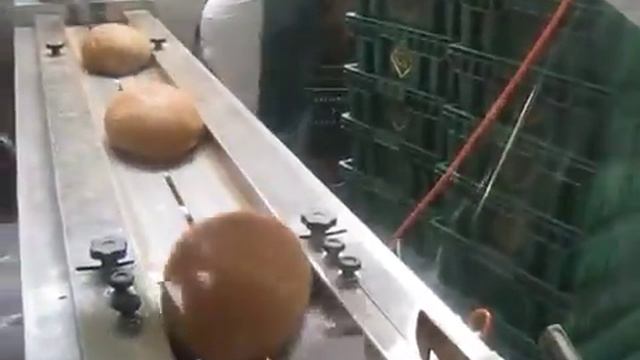 Линепак Ф 3 М упаковка хлеба с этикеткой оборудование ТАУРАС ФЕНИКС САМАРА КАЗАНЬ смотреть онлайн