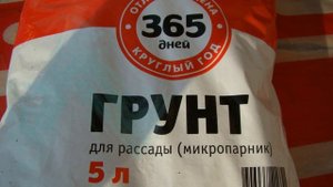 Сажаем клематисы. Как выбрать грунт?
