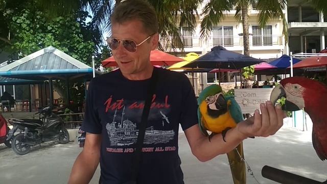 Общение с попугаями Ара на Маафуши.А что ещё делать на маленьком мальдивском острове?Какаду Коля))