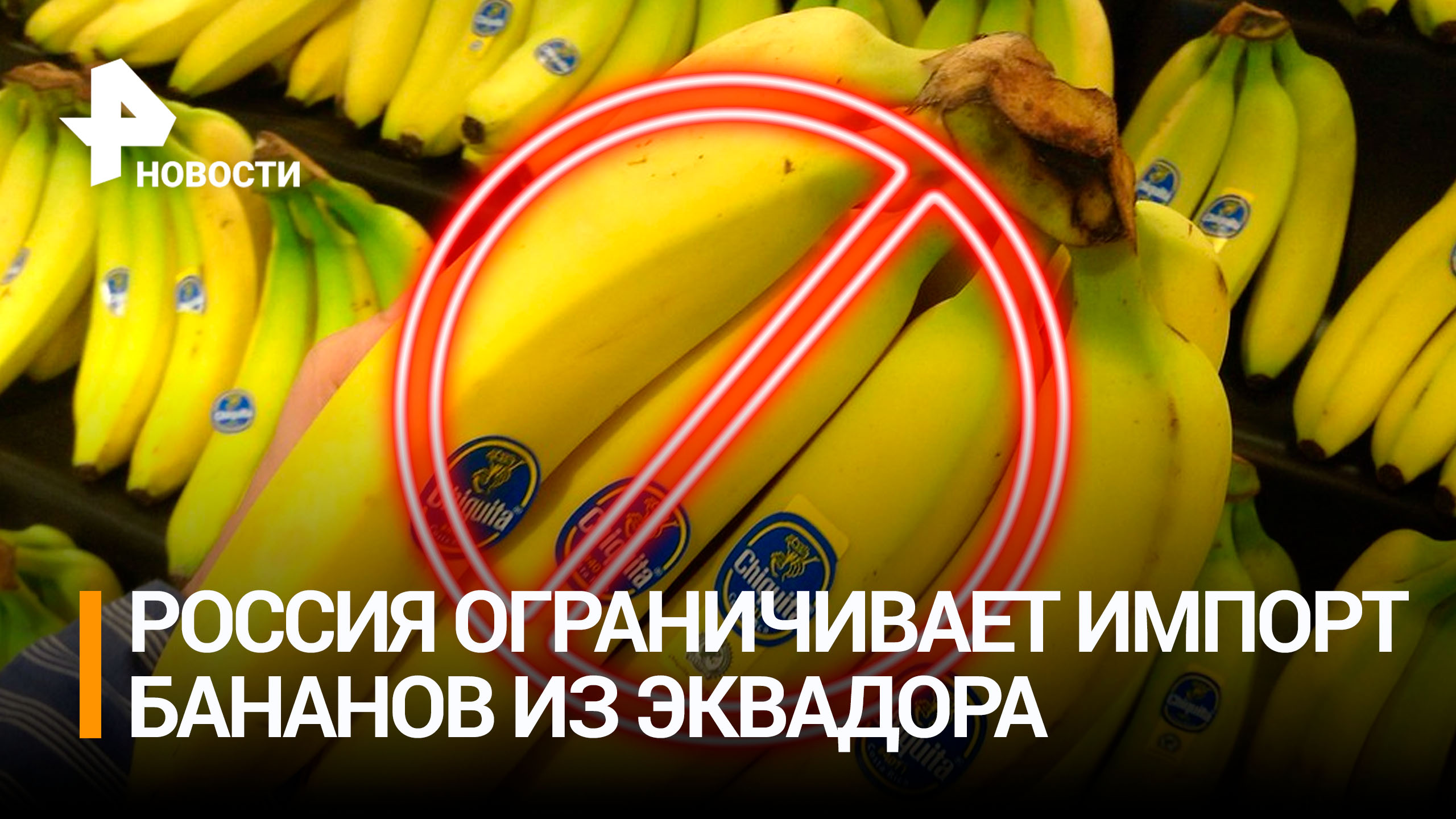 Россия вводит ограничения на поставки бананов из Эквадора / РЕН Новости