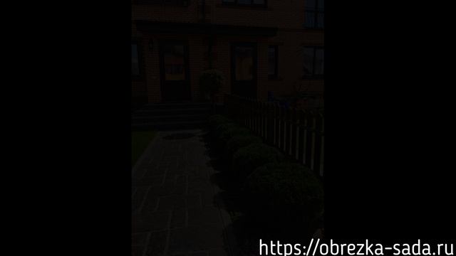 Фигурная обрезка деревьев и кустарников