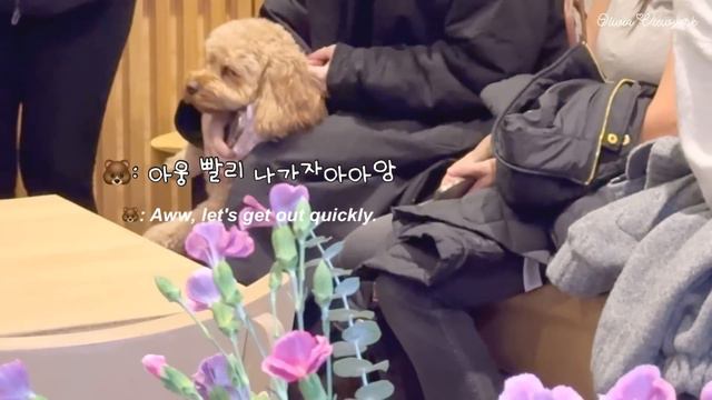 뉴욕 최애 빈티지 패션샵 2곳 디올 쟈켓 코트입고 귀염뽀작 카페갔다가 군고구마 구워먹는 일상브이로그 смотреть онлайн