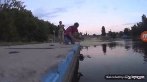 Радио управляемые машины