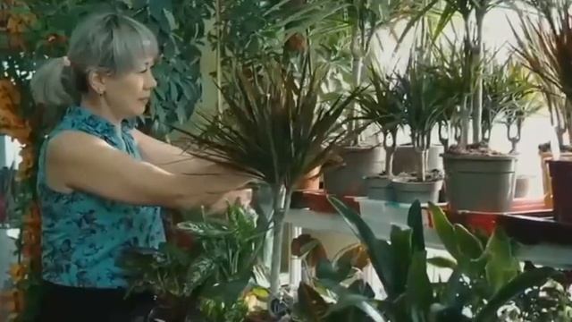 Молитва - Людмила Гурченко