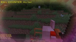 How I joined Mr Beast Minecraft server SImpcraft 2020