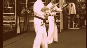 Okinaw Sanchin Kata ❊Old Style Shorinjiryu Karate & Ryukyu Kobudo