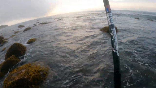 Fishing for Montauk Summer Stripers and Blues Part 1 - 2021 4K смотреть онлайн