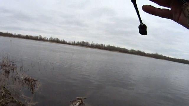 Ловля белой рыбы на червя. Рыбалка на донку с кормушкой и без. Рыбалка в Беларуси.