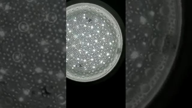 Светильник потолочный светодиодный Seven Fires ЛУСОН 45011.21.15.64 смотреть онлайн