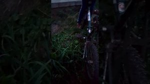 Бездорожье на велосипеде кама.