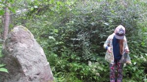 Каменный идол. Дер. Подоржевка. Бежаницкий район. Псковская обл.
