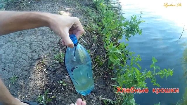 Ловушка для рыбы своими руками Лайфхак для рыбалки